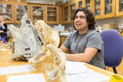 一个学生坐在动物头骨旁边的桌子旁