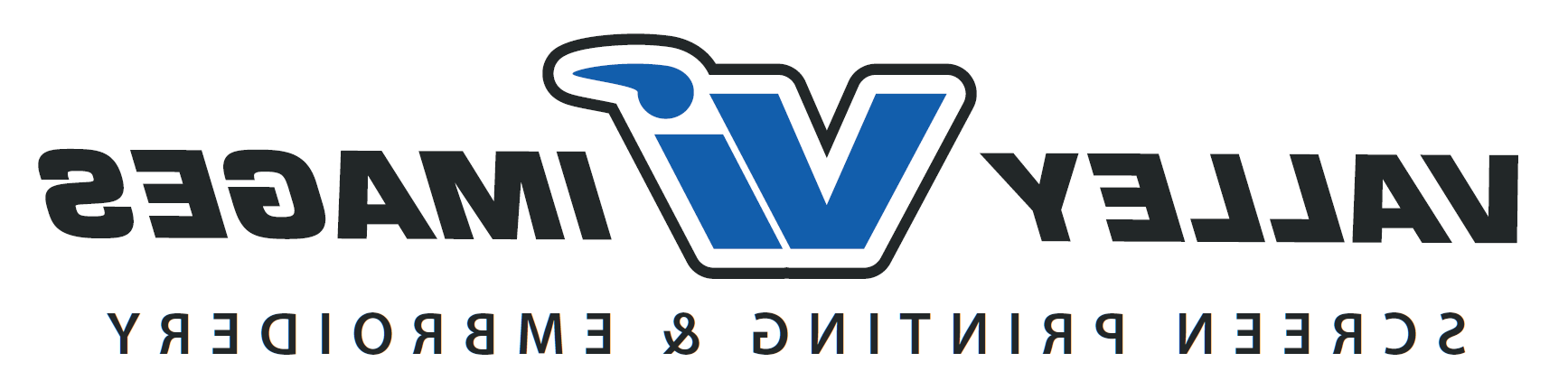山谷图像的标志:字母V和蓝色的I, 中间相连，用黑色标出, 左边是“山谷”，右边是“图像”, 都是简单的黑色字体.